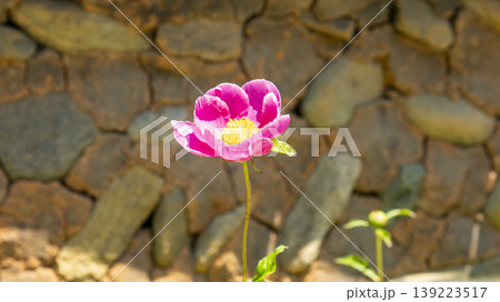 Namsaye Damchon Namsaye Damchon 139223517