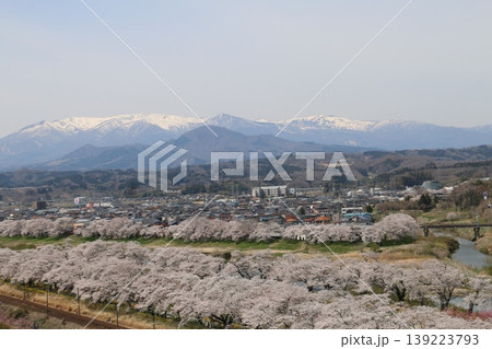 残雪の蔵王連峰とコラボする一目千本桜 残雪の蔵王連峰とコラボする一目千本桜 139223793