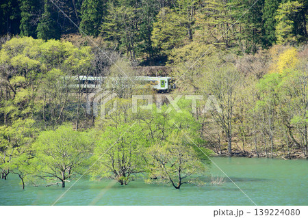 新緑美しい水没林の錦秋湖畔を疾走する　北上線列車　岩手県 139224080