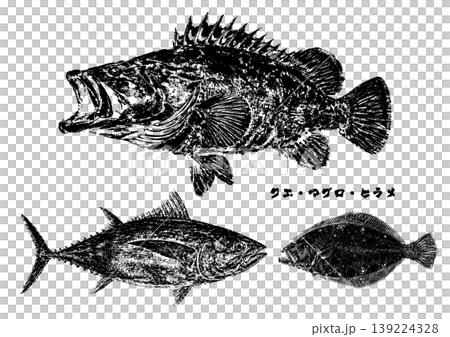 魚拓風素材 139224328