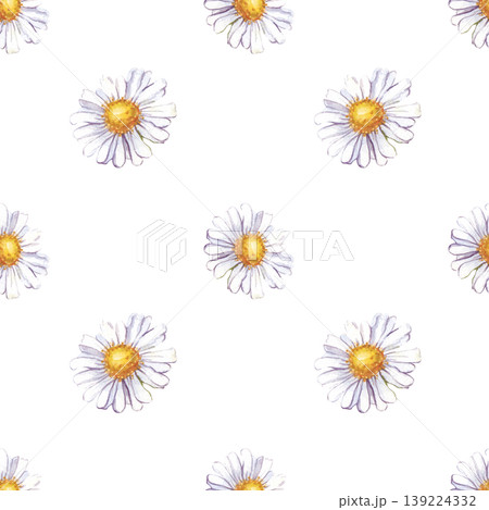 Seamless floral pattern with hand-painted watercolor daisy flowers (chamomile) on a isolated background. Minimalist design with soft textures and yellow centers..Perfect for textile printing, gift 139224332