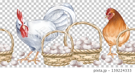 Seamless horizontal border with a white rooster, brown hen and wicker baskets filled with white chicken eggs. Watercolor illustration in natural colors on an isolated background. A realistic template Seamless horizontal border with a white rooster, brown hen and wicker baskets filled with white chicken eggs. Watercolor illustration in natural colors on an isolated background. A realistic template 139224333