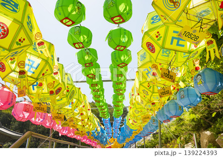 Buddha's Birthday, Lotus Lanterns for Buddha's Birthday 139224393