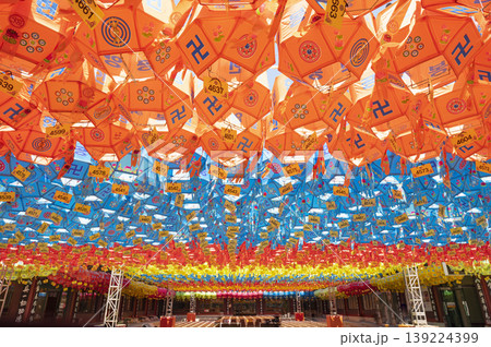 Buddha's Birthday, Lotus Lanterns for Buddha's Birthday Buddha's Birthday, Lotus Lanterns for Buddha's Birthday 139224399