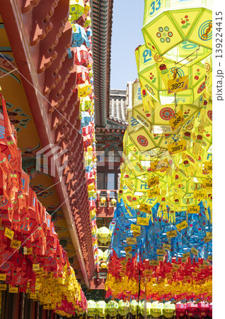 Buddha's Birthday, Lotus Lanterns for Buddha's Birthday 139224415