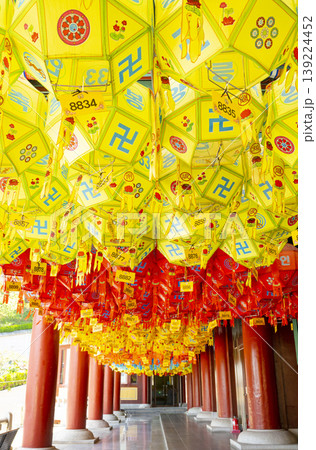 Buddha's Birthday, Lotus Lanterns for Buddha's Birthday Buddha's Birthday, Lotus Lanterns for Buddha's Birthday 139224452