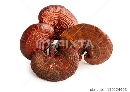 Lingzhi or Reishi mushroom isolated on white with clipping path. Lingzhi or Reishi mushroom isolated on white with clipping path. 139224498