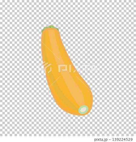 橙色西葫蘆的插圖 139224529