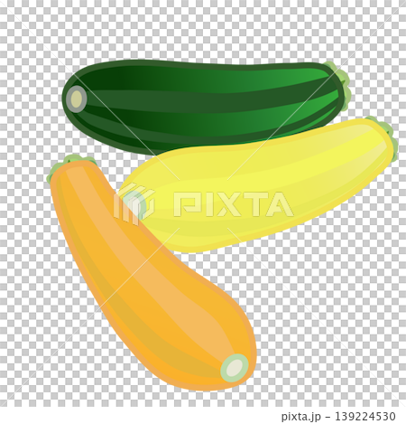三色のズッキーニのイラスト 三色のズッキーニのイラスト 139224530