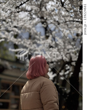 A woman with pink hair admires cherry blossoms in spring. A woman with pink hair admires cherry blossoms in spring. 139224681