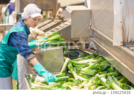 Woman in uniform sorts and washes leeks at vegetable processing factory 139225816