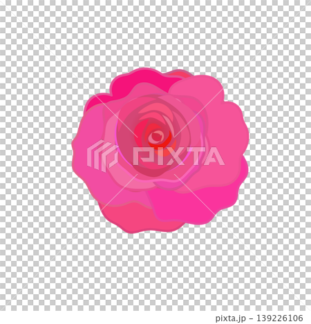 濃いピンクのバラのイラスト 139226106