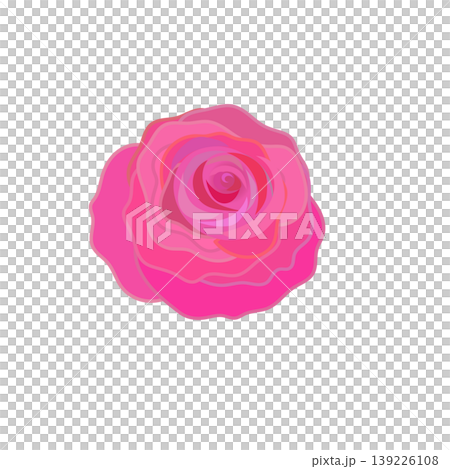 深粉色玫瑰的插圖 深粉色玫瑰的插圖 139226108