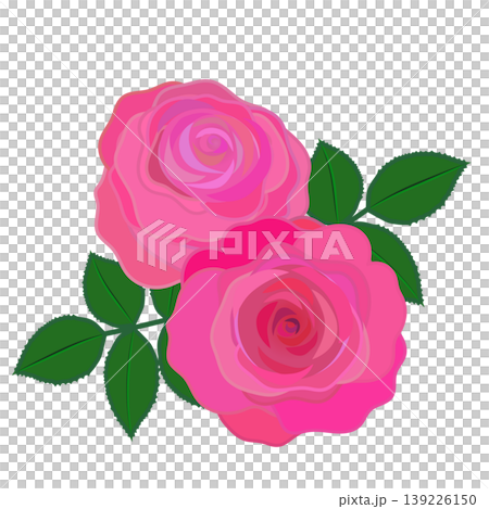Illustration of a dark pink rose Illustration of a dark pink rose 139226150