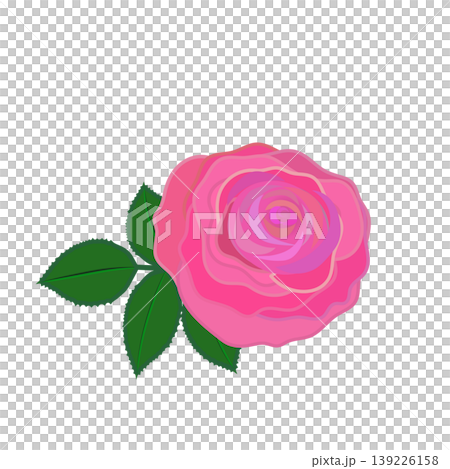Illustration of a dark pink rose Illustration of a dark pink rose 139226158