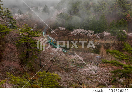 春霞の水郡線 春霞の水郡線 139226230