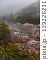 朝霧の矢祭山 139226231