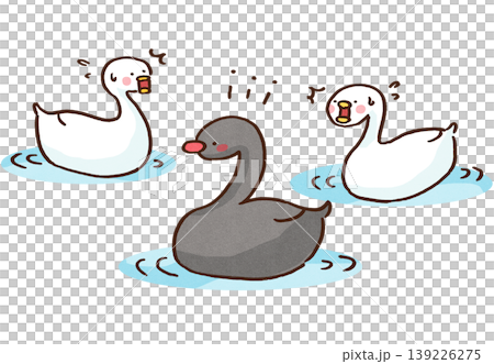 湖に突然現れた黒鳥（ブラックスワン）に驚く白鳥たちのイラスト（予測不能な事態・金融リスク）  139226275