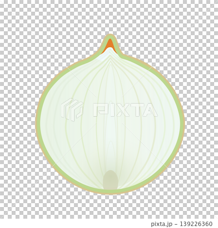 半分にカットされた玉ねぎのイラスト 139226360