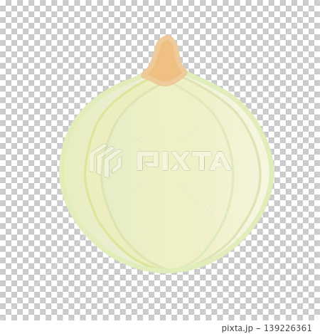 皮をむいた玉ねぎのイラスト 139226361