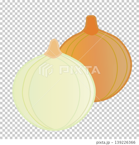 玉ねぎのイラスト 139226366