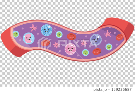 Various cells in blood vessels (unnamed) 139226687