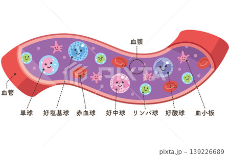 血管の中の様々な細胞（名称あり） 139226689