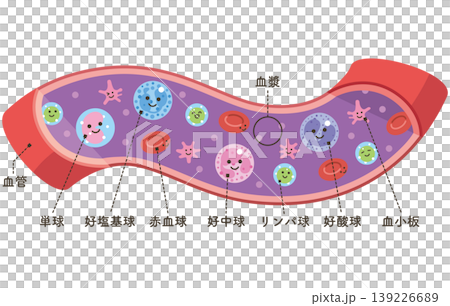 血管の中の様々な細胞（名称あり） 139226689