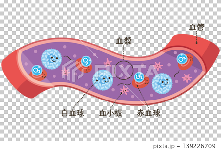 在血管中流動的細胞:攜帶氧氣(O2)的紅血球(已命名) 在血管中流動的細胞:攜帶氧氣(O2)的紅血球(已命名) 139226709