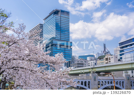 大阪中之島　水晶橋と満開の桜 139226870