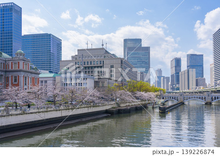 大阪中之島 大阪市中央公会堂と満開の桜 大阪中之島 大阪市中央公会堂と満開の桜 139226874