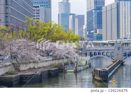 大阪中之島　水晶橋と満開の桜 139226876