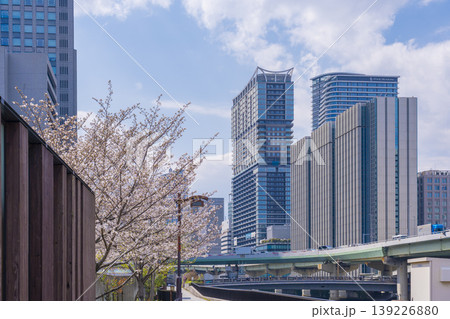 中之島　京阪大江橋駅付近の風景と満開の桜 139226880