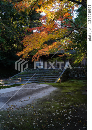 法然院の白砂壇と楓の紅葉 139226991