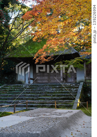 法然院の白砂壇と楓の紅葉 139226994