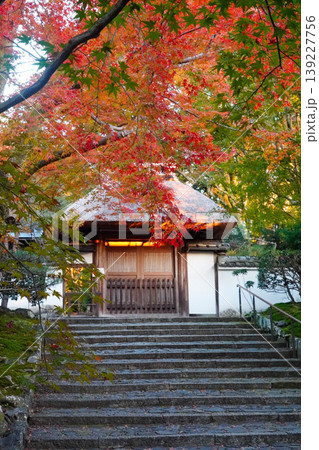 楓の紅葉と安楽寺の山門 139227756
