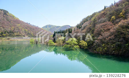 様々な新緑に染まる水鏡美しい錦秋湖 水没林 岩手県 様々な新緑に染まる水鏡美しい錦秋湖 水没林 岩手県 139228276