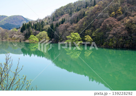 様々な新緑に染まる水鏡美しい錦秋湖 水没林 岩手県 様々な新緑に染まる水鏡美しい錦秋湖 水没林 岩手県 139228292