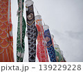 空に浮かぶ鯉のぼり 139229228