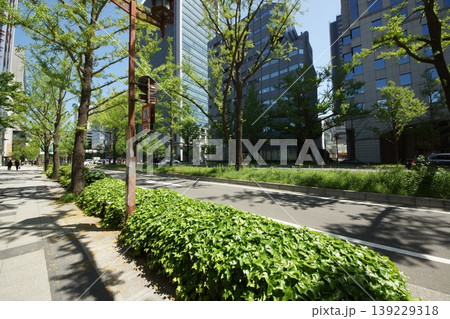 大阪御堂筋・南船場・本町界隈 139229318