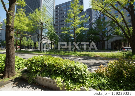 大阪御堂筋・南船場・本町界隈 139229323