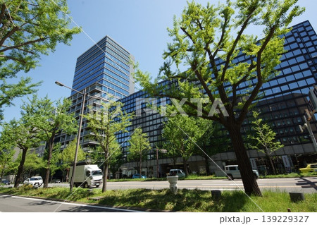 大阪御堂筋・南船場・本町界隈 139229327