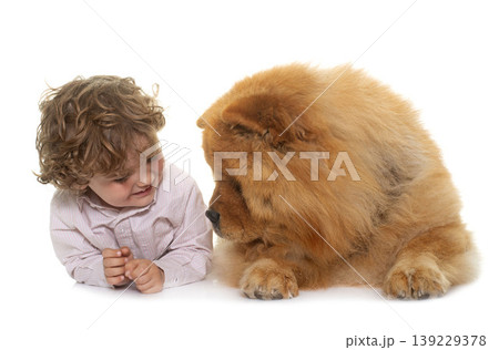 chow chow and boy chow chow and boy 139229378