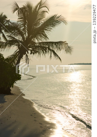 Magical sunset with orange sky and palm trees at dusk on Maldives islands, reflection on the water in beach, no people Magical sunset with orange sky and palm trees at dusk on Maldives islands, reflection on the water in beach, no people 139229477
