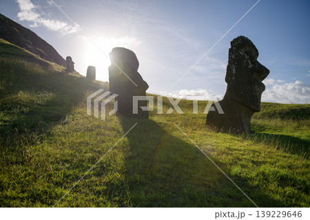 Peaceful moai statue on green grass of easter island chile at sunrise 139229646
