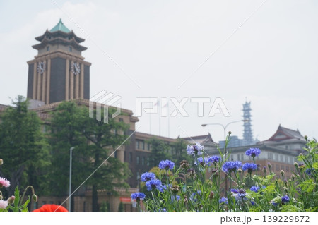 名古屋市役所と花 139229872