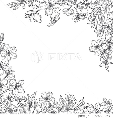 Monochrome fruit tree blossom flower frame vector illustration. Hand drawn pear or cherry flowers with leaves border with empty area for text. Botanical sketch for greeting card, wedding invitation Monochrome fruit tree blossom flower frame vector illustration. Hand drawn pear or cherry flowers with leaves border with empty area for text. Botanical sketch for greeting card, wedding invitation 139229965