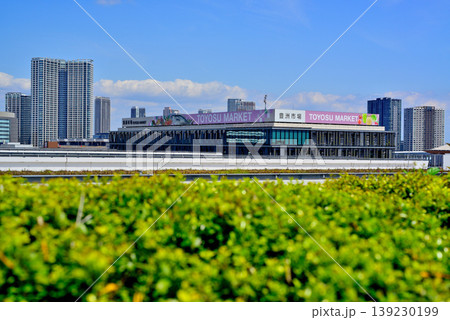 東京都中央卸売市場 豊洲市場 東京都中央卸売市場 豊洲市場 139230199