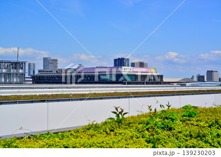 東京都中央卸売市場 豊洲市場 東京都中央卸売市場 豊洲市場 139230203