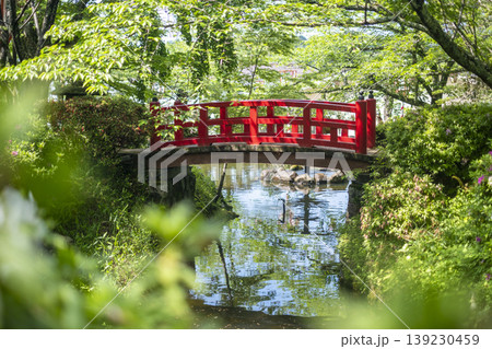 打吹公園の新緑・初夏の風景　倉吉市 139230459